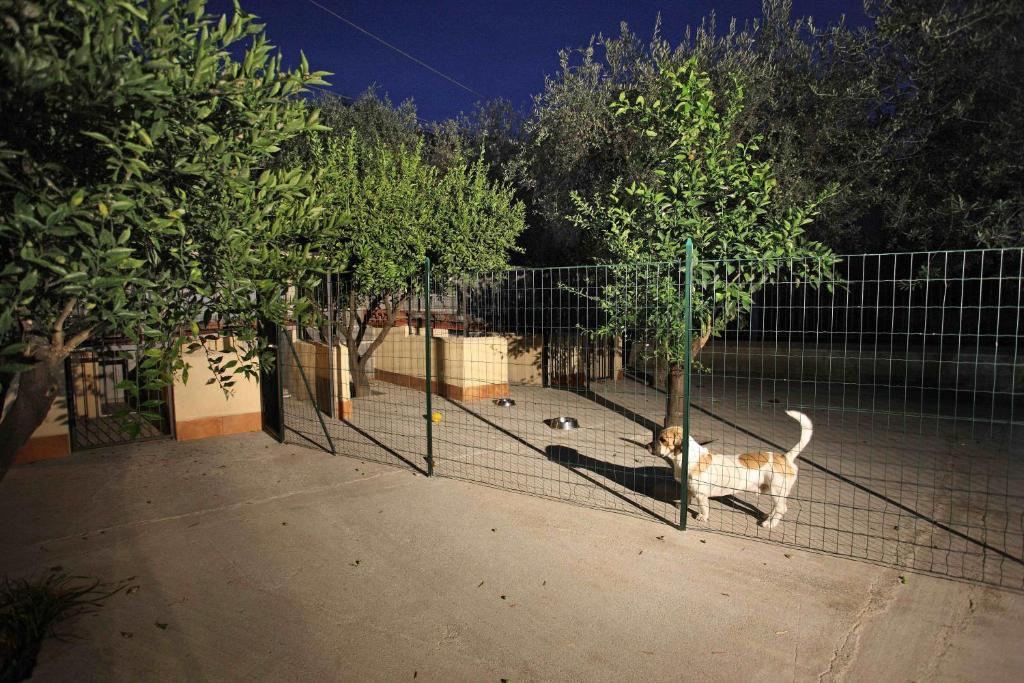 גיארדיני נאקסוס Villa Veronica מראה חיצוני תמונה